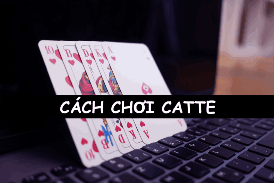cách chơi catte